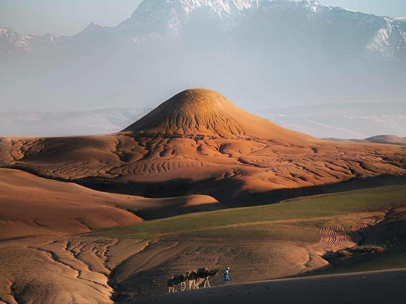 Une caravane solitaire traversant le désert d’Agafay, l’Atlas enneigé en fond